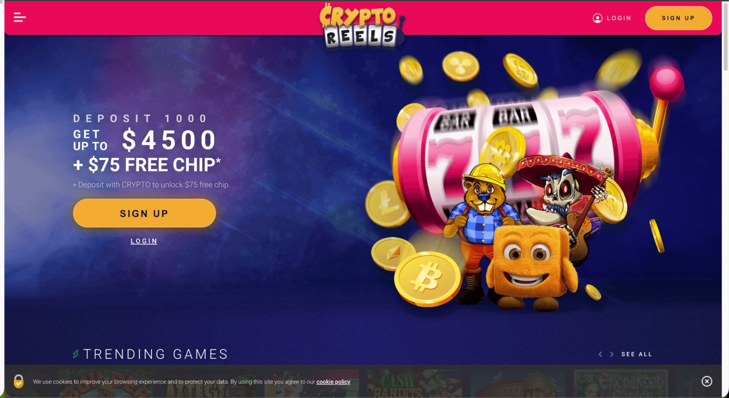 Crypto Reels brand image